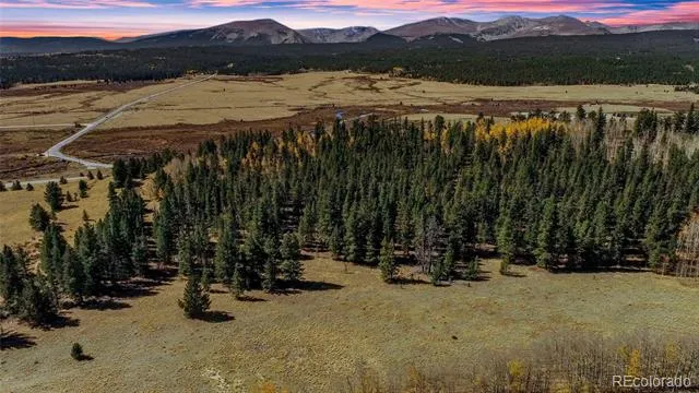 112 Platte River Drive Fairplay, CO 80440