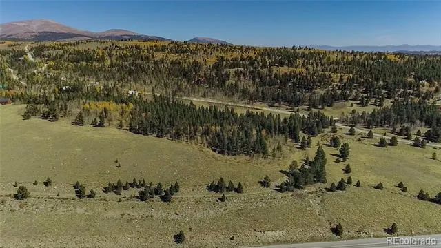 112 Platte River Drive Fairplay, CO 80440