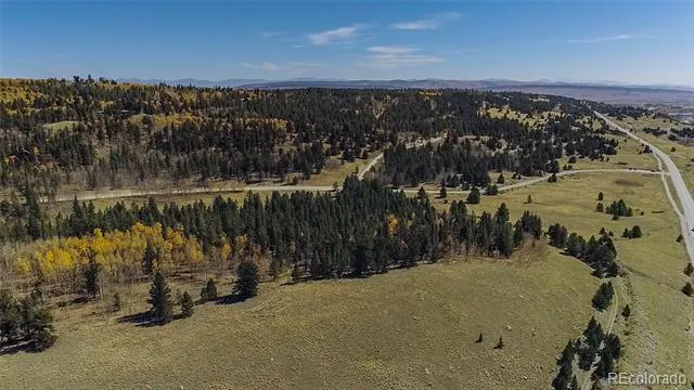 112 Platte River Drive Fairplay, CO 80440