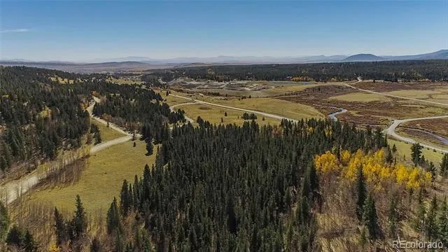 112 Platte River Drive Fairplay, CO 80440