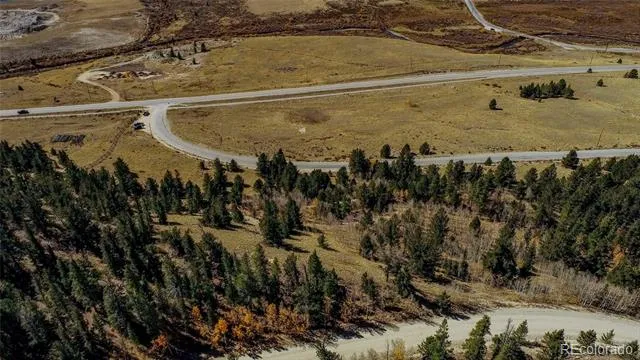 112 Platte River Drive Fairplay, CO 80440