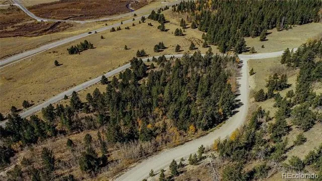 112 Platte River Drive Fairplay, CO 80440