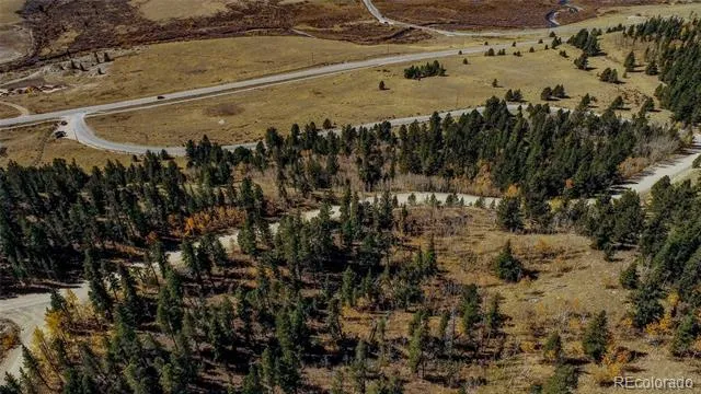 112 Platte River Drive Fairplay, CO 80440