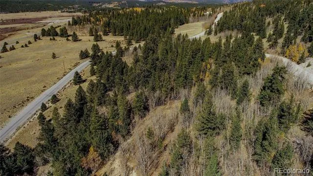 112 Platte River Drive Fairplay, CO 80440