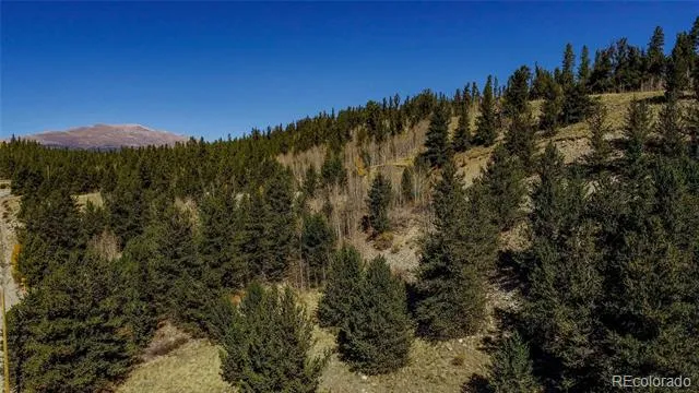 112 Platte River Drive Fairplay, CO 80440