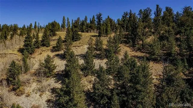 112 Platte River Drive Fairplay, CO 80440