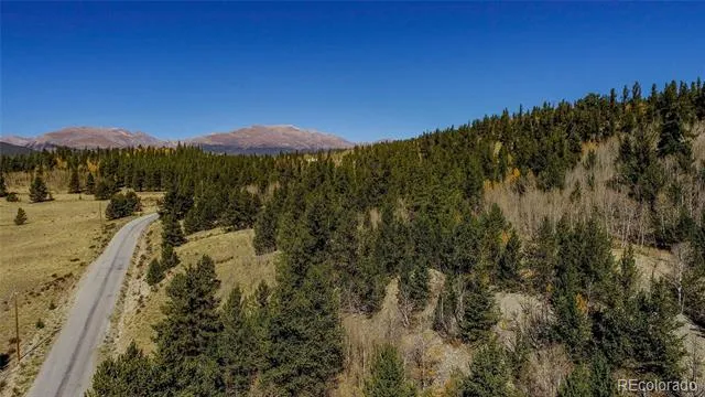 112 Platte River Drive Fairplay, CO 80440