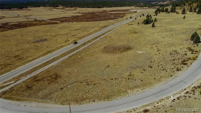 112 Platte River Drive Fairplay, CO 80440
