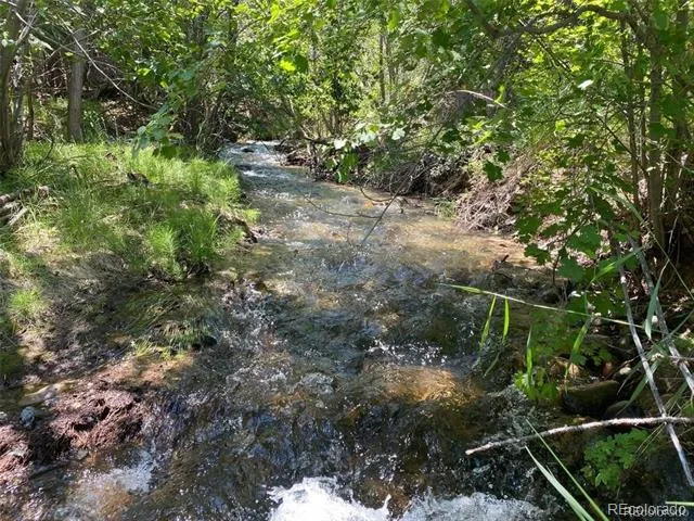 779 County Road 48 Howard, CO 81233