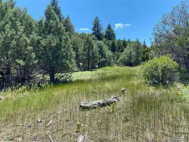 779 County Road 48 Howard, CO 81233
