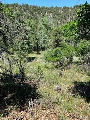 779 County Road 48 Howard, CO 81233