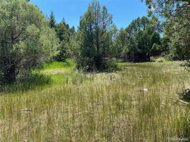 779 County Road 48 Howard, CO 81233