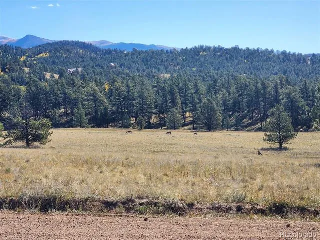 2628 Southpark Road Florissant, CO 80816