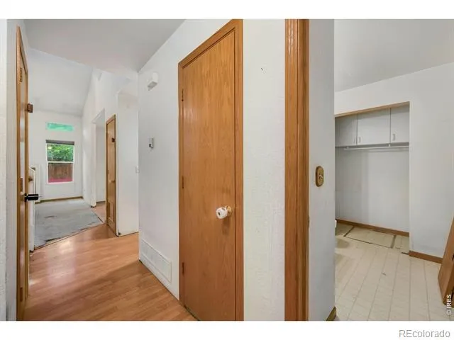 152 Crabapple Drive Windsor, CO 80550