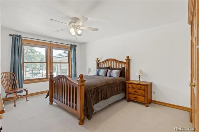 1145 Cambrook Court Monument, CO 80132