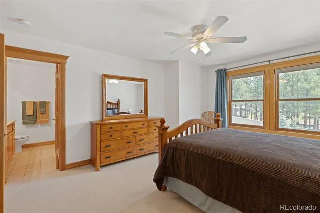 1145 Cambrook Court Monument, CO 80132