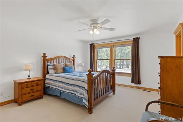 1145 Cambrook Court Monument, CO 80132