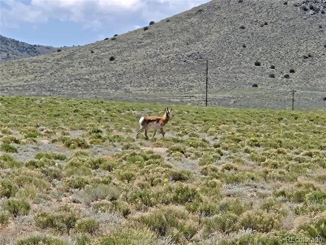 11th Street Lot 6 Blanca, CO 81133