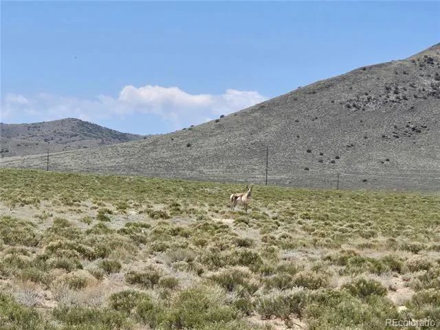 11th Street Lot 6 Blanca, CO 81133
