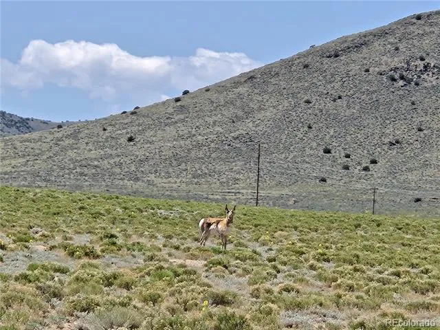 11th Street Lot 6 Blanca, CO 81133
