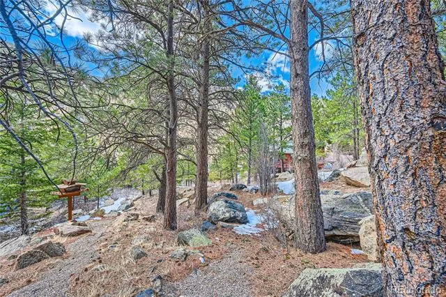 Skyline Road Georgetown, CO 80444