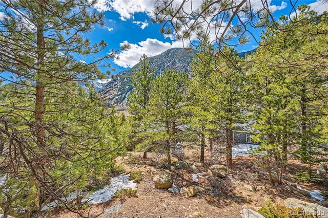 Skyline Road Georgetown, CO 80444