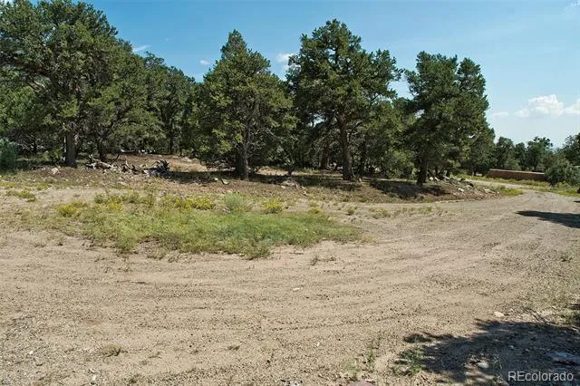 532 Hillcrest Ol Crestone, CO 81131