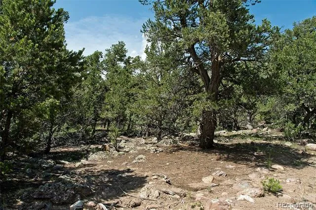 532 Hillcrest Ol Crestone, CO 81131