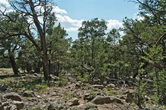 532 Hillcrest Ol Crestone, CO 81131