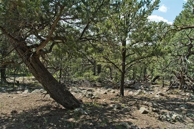 532 Hillcrest Ol Crestone, CO 81131
