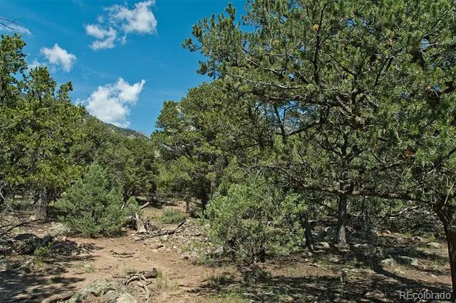 532 Hillcrest Ol Crestone, CO 81131