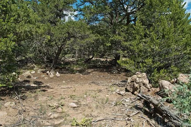 532 Hillcrest Ol Crestone, CO 81131