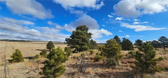 Address Not Shown Agate, CO 80101