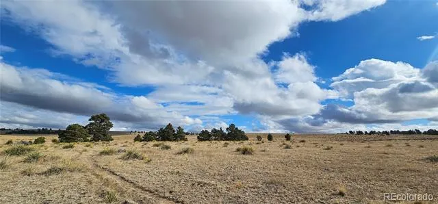 Address Not Shown Agate, CO 80101