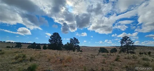 Address Not Shown Agate, CO 80101