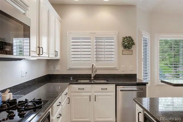 3104 Ramshorn Drive Castle Rock, CO 80108