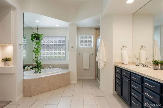 3104 Ramshorn Drive Castle Rock, CO 80108
