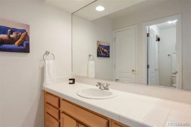 3104 Ramshorn Drive Castle Rock, CO 80108