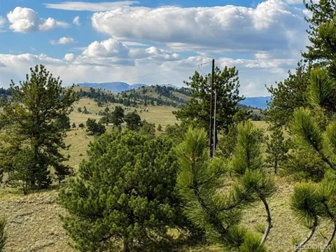 115 Black Canyon Court