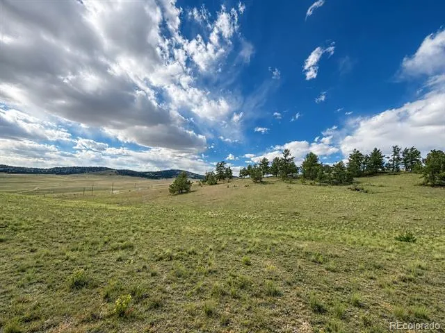 115 Black Canyon Court Hartsel, CO 80449