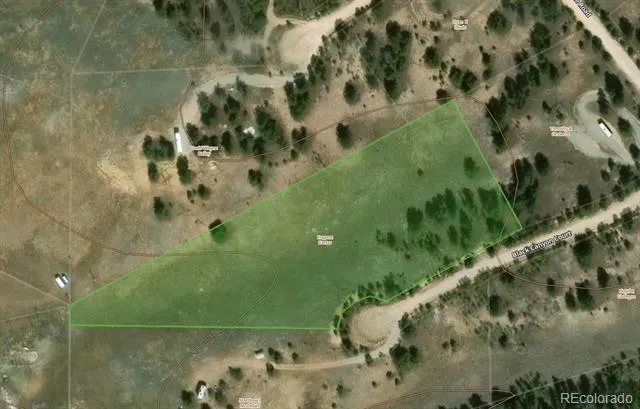 115 Black Canyon Court Hartsel, CO 80449