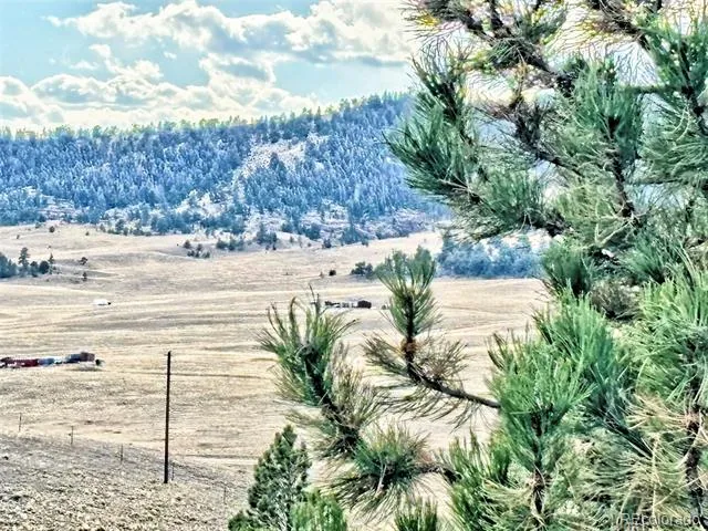115 Black Canyon Court Hartsel, CO 80449