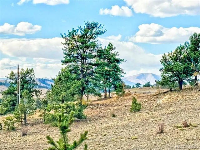 115 Black Canyon Court Hartsel, CO 80449