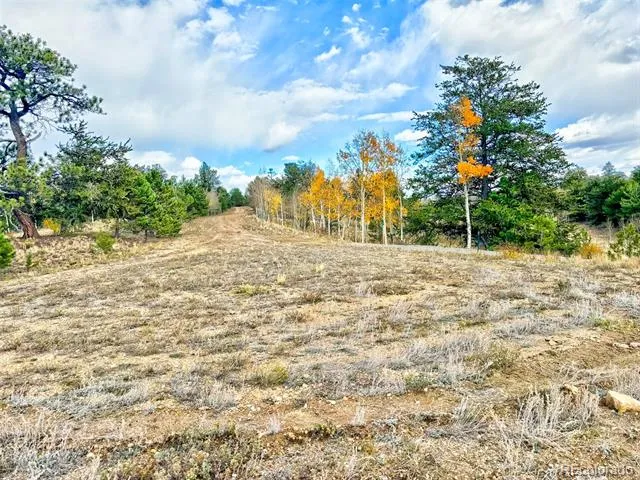 115 Black Canyon Court Hartsel, CO 80449