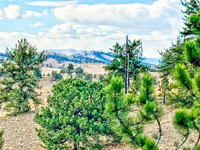 115 Black Canyon Court Hartsel, CO 80449