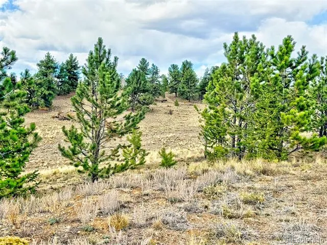 115 Black Canyon Court Hartsel, CO 80449