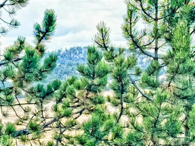 115 Black Canyon Court Hartsel, CO 80449