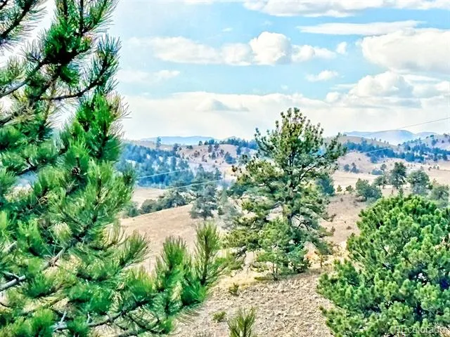 115 Black Canyon Court Hartsel, CO 80449