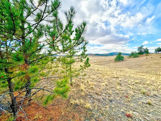 115 Black Canyon Court Hartsel, CO 80449
