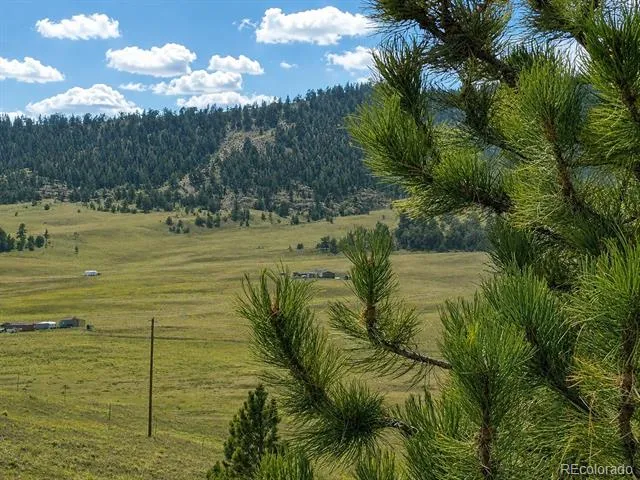 115 Black Canyon Court Hartsel, CO 80449